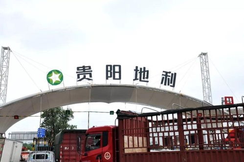 地利集團十家農批市場榮膺2018年度全國百強，彰顯農產品流通行業標桿力量