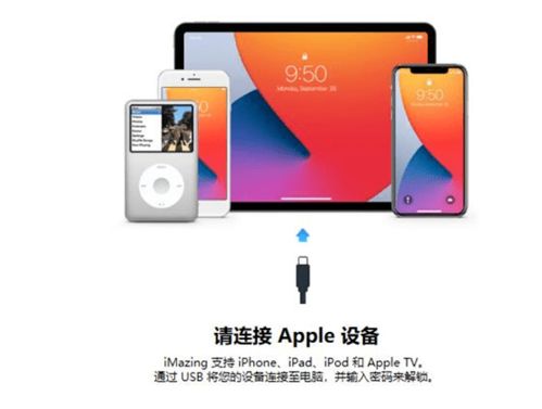 Imazing2024免費版 高效的計算機數據遷移與管理工具
